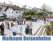 Maimbaum austellen in Deisenhofen am 30.04.2010 (Foto: Martin Schmitz)